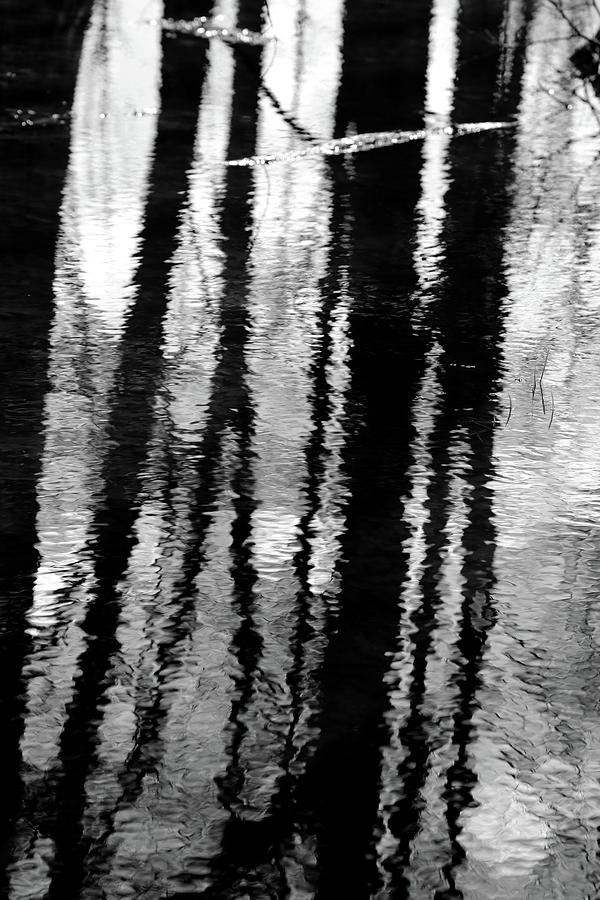 Wetland Reflections 200 BW Photograph by Mary Bedy