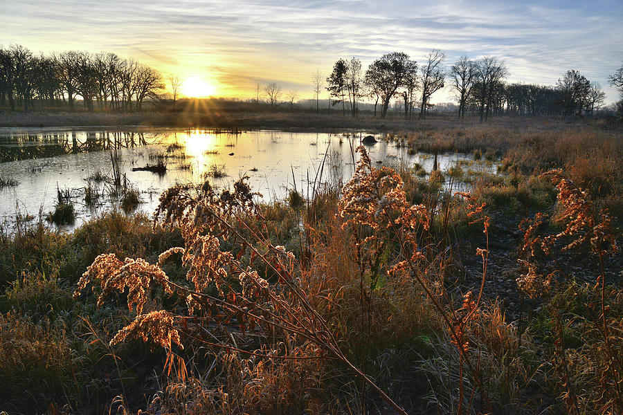 Wetland Sunrise in Hackmatach National Wildlife Refuge Photograph by Ray Mathis
