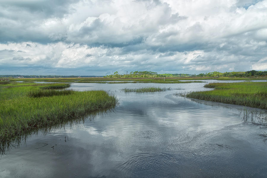Wetland Waterways Photograph by John M Bailey