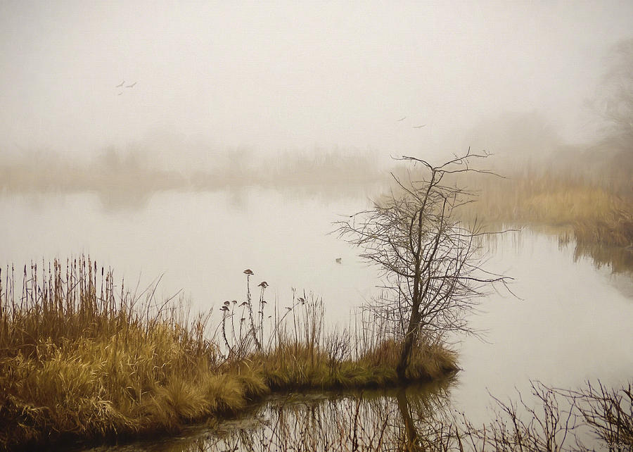 Wetland Wonders of Winter Photograph by Jordan Blackstone