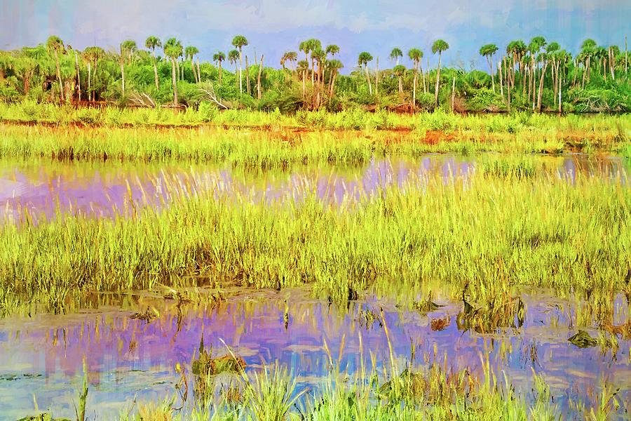 Wetlands Along The Loop Photograph by Alice Gipson