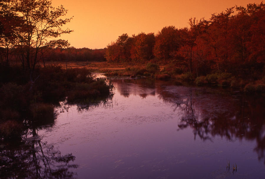Wetlands Autumn Reflections Photograph