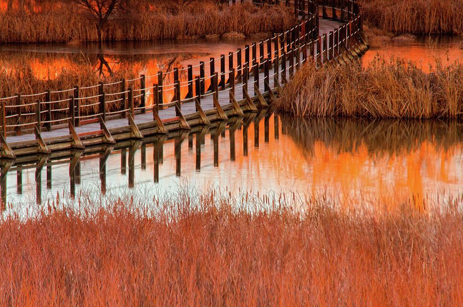 Wetlands Dawn Photograph by John De Bord
