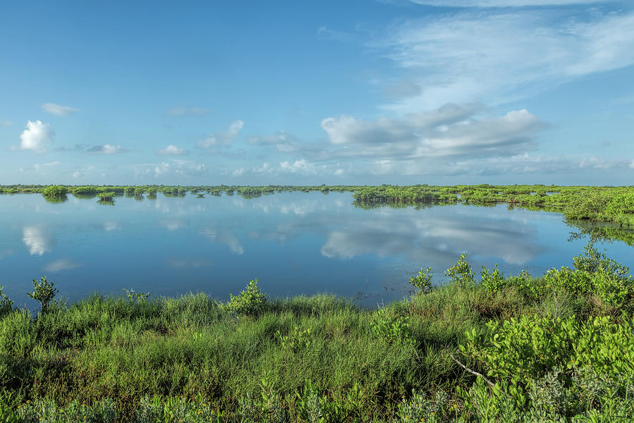 Wetlands of Florida Photograph by John M Bailey