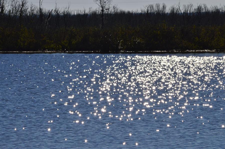 Wetlands Sparkle Photograph by Warren Thompson