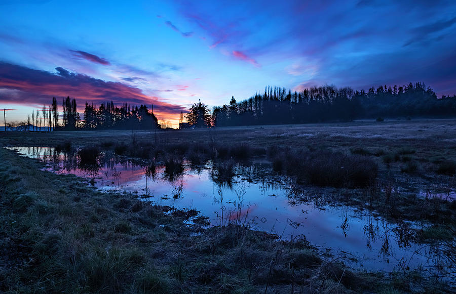 Wetlands Sunrise Photograph by Bob VonDrachek