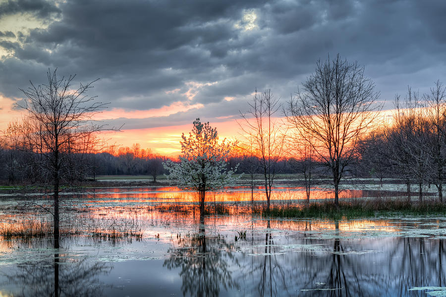 Wetlands Sunset Photograph by James Barber