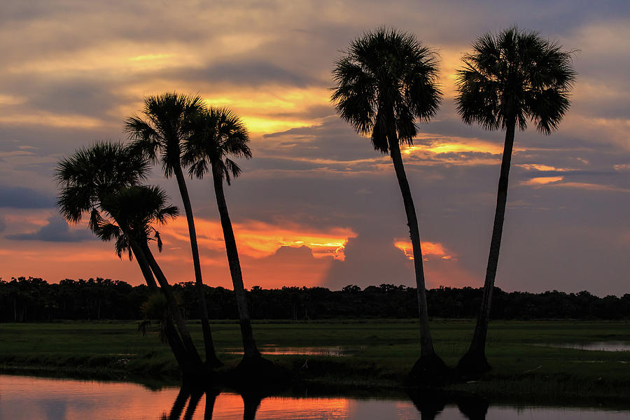 Wetlands Sunset Photograph by Stefan Mazzola