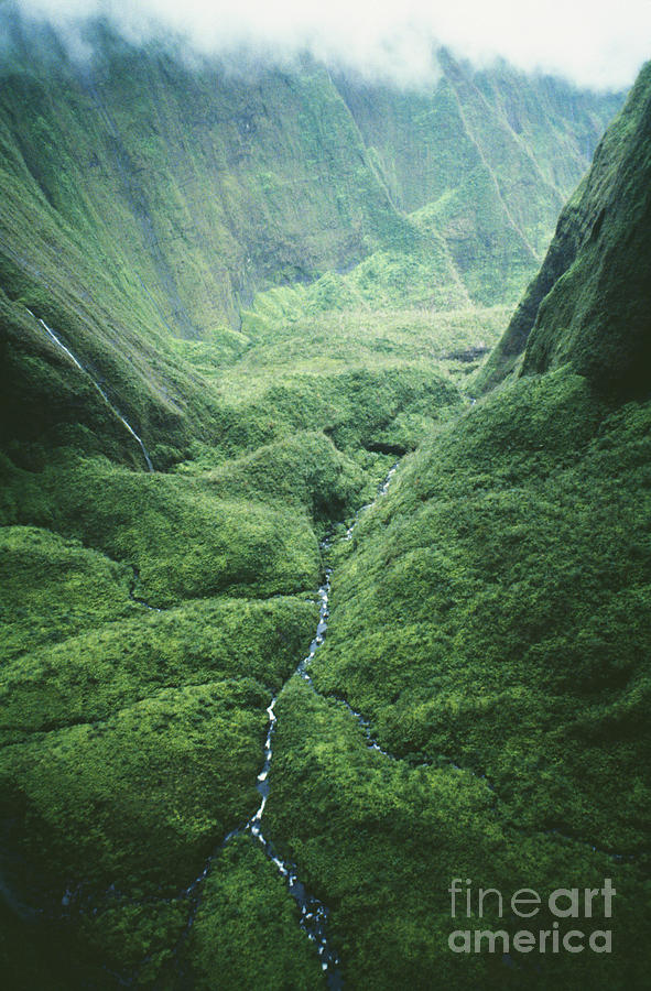 Wettest Spot In Hawaii Photograph by Bob Abraham - Printscapes