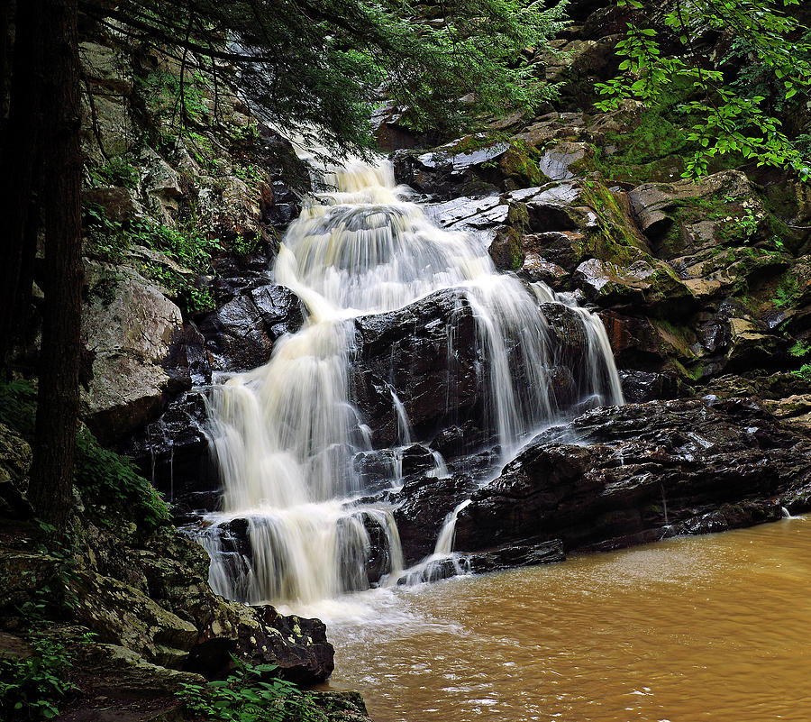 Nature Photograph - Wahconah Falls by Bill Morgenstern