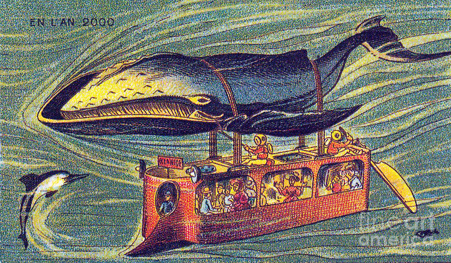 Whale Bus, 1900s French Postcard Photograph by Science Source