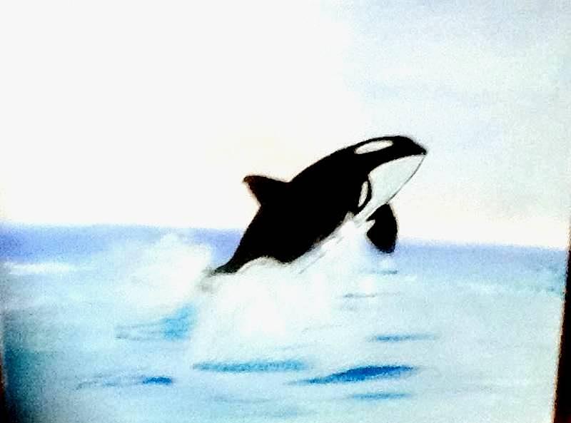 Whale In Oil  Painting by Audrey Pollitt