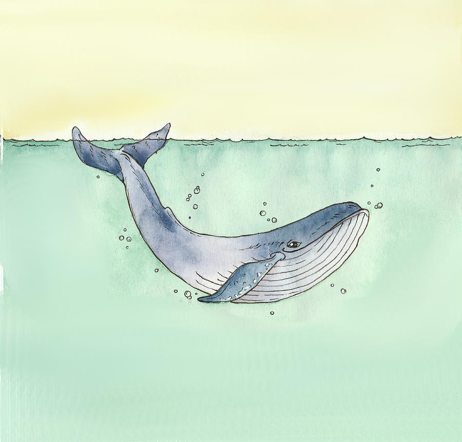 Fish Painting - Whale by Katrina Davis