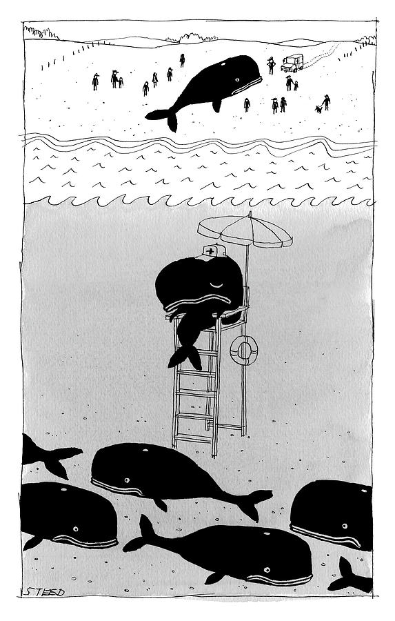 Whale Lifeguard Drawing by Edward Steed
