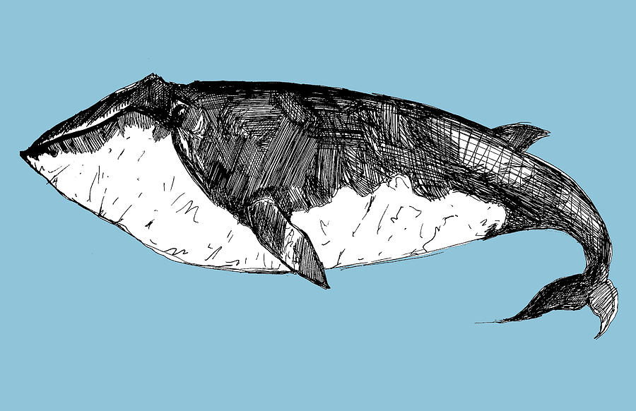 Whale Mixed Media - Whale by Michael De Alba
