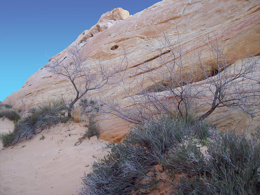 Desert Photograph - Whale Rock by Steve Ellis