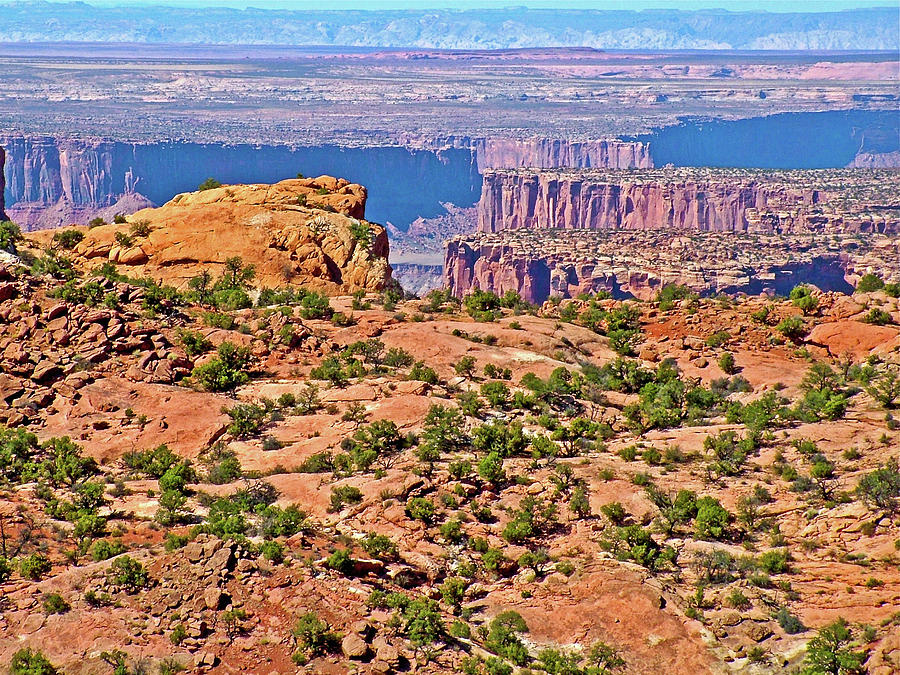 Whale Rock Trail View in Island in the Sky District of Canyonlands National Park, Utah Photograph by Ruth Hager