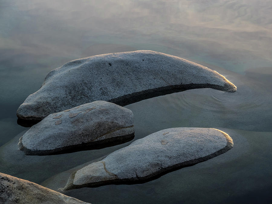 Whale Rocks Photograph by Martin Gollery
