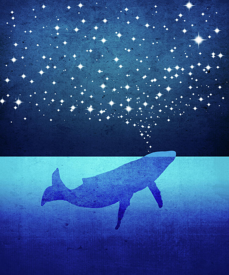 Whale Spouting Stars Digital Art by Laura Ostrowski