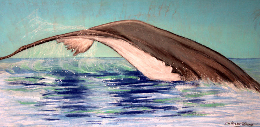 Whale Tail    Pastel   Sold Photograph by Antonia Citrino