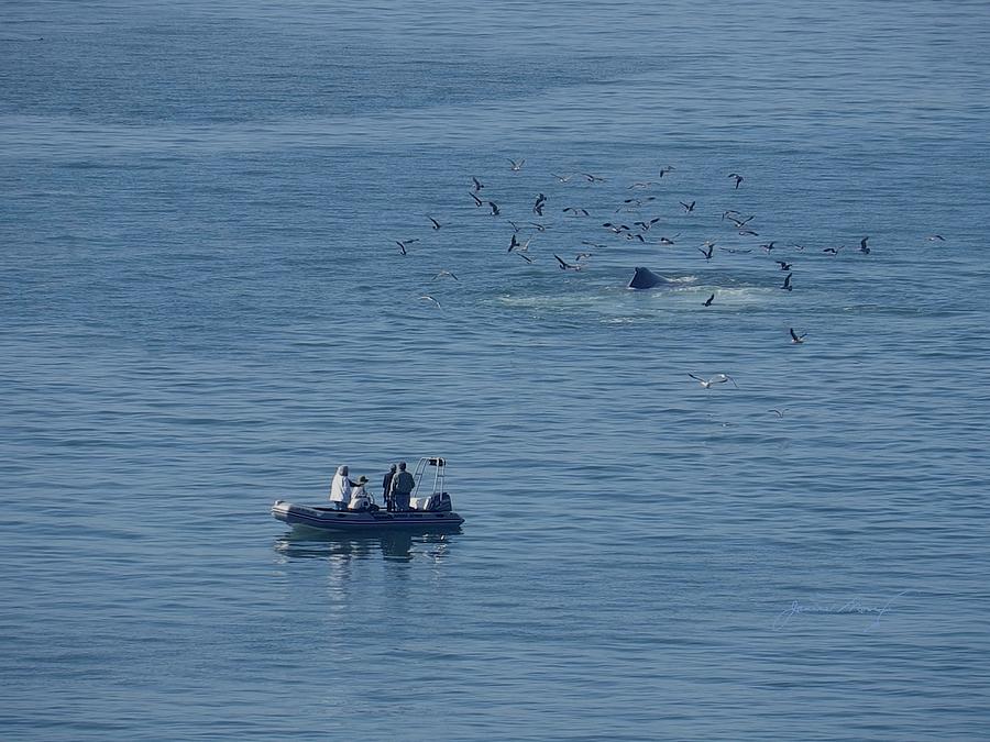 Whale Watchers in Rubber Raft Photograph by Jan Moore
