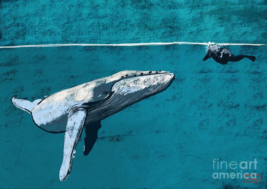 Whale Watching Digital Art by Lidija Ivanek - SiLa
