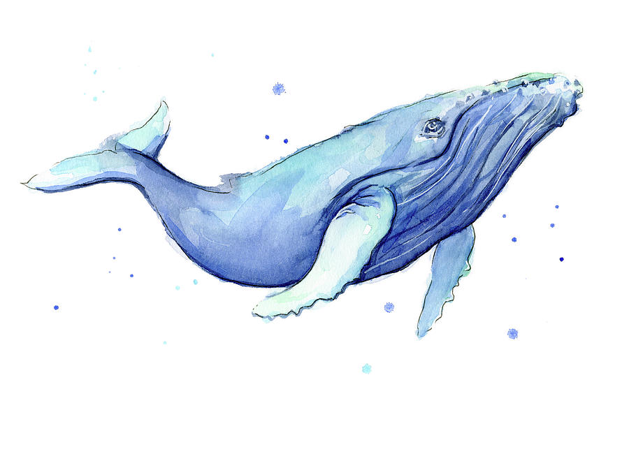 Whale Painting - Whale Watercolor Humpback by Olga Shvartsur