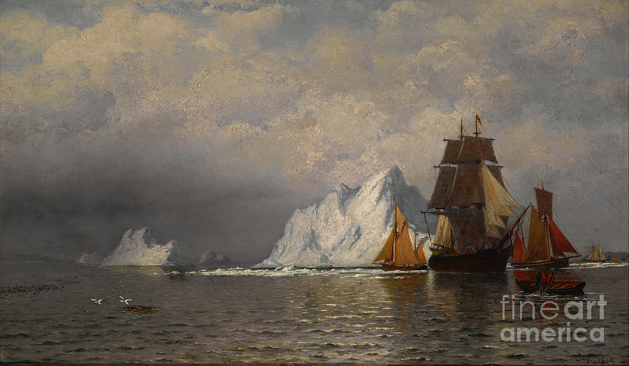 Whaler And Fishing Vessels Near The Coast Of Labrador Painting by Celestial Images