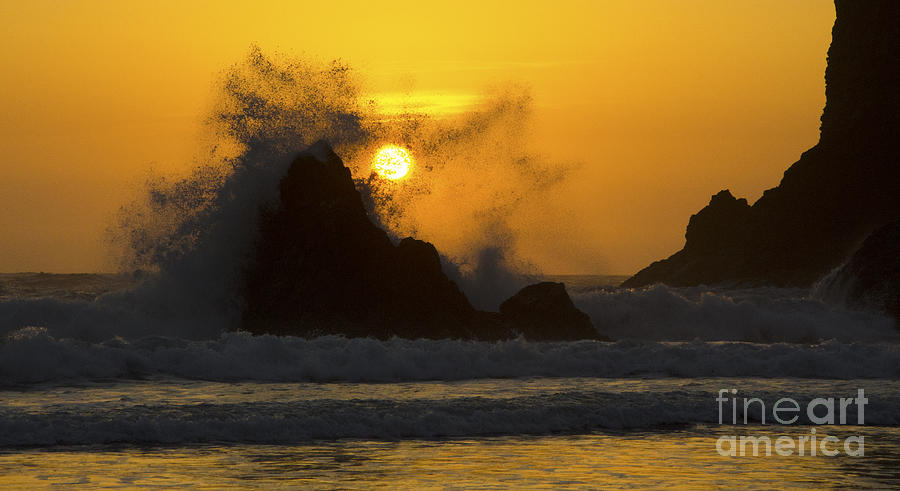 Beach Photograph - Whales Head Beach Oregon Sunset 3 by Bob Christopher
