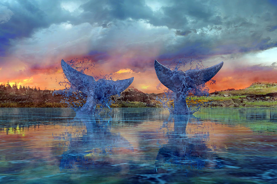 Whale Digital Art - Whales II by Betsy Knapp