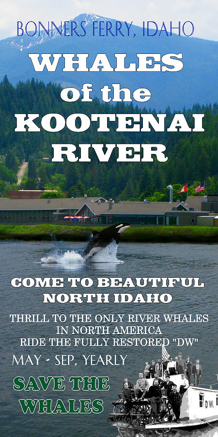Whales of the Kootenai River Digital Art by Robert Bissett