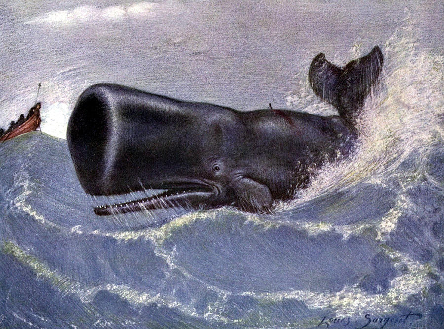 Whaling for Sperm Whale 20th Century Photograph by Science Source