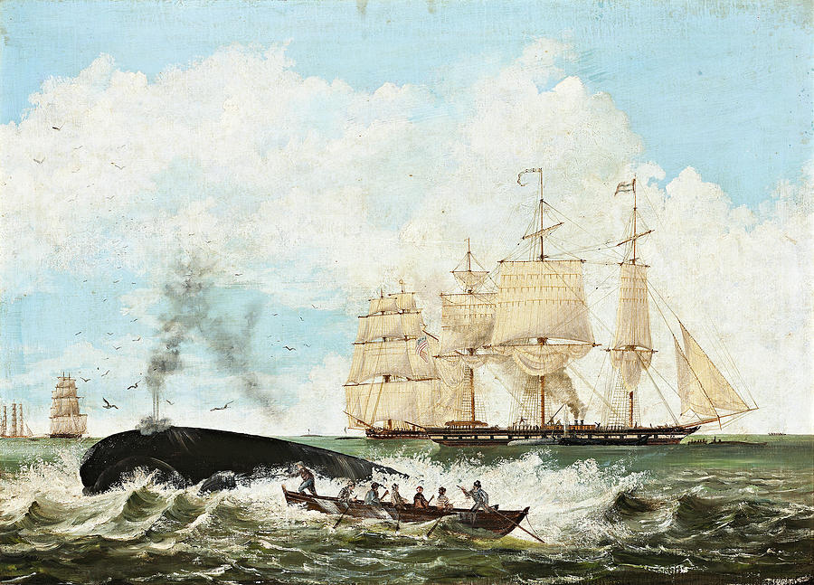 Whaling Painting by MotionAge Designs