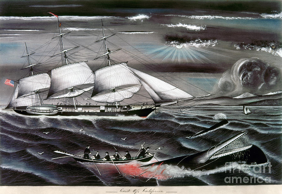 Whaling Off the Coast of California, c1860 Drawing by Granger Whaling Off the Coast of California, c1860 Drawing by Granger
