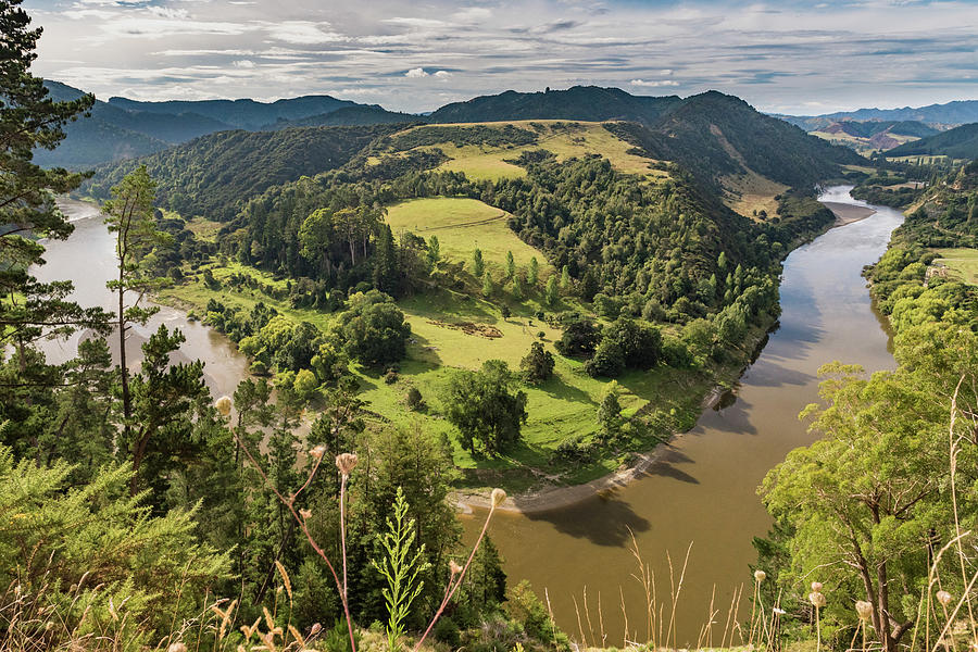 Whanganui River bend Photograph by Gary Eason