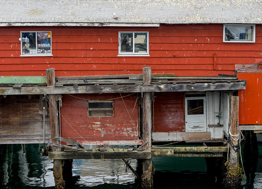 Wharf Shack Photograph by Derek Dean