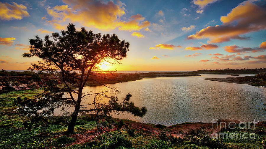 What a Glow at the Batiquitos Lagoon Photograph by David Levin