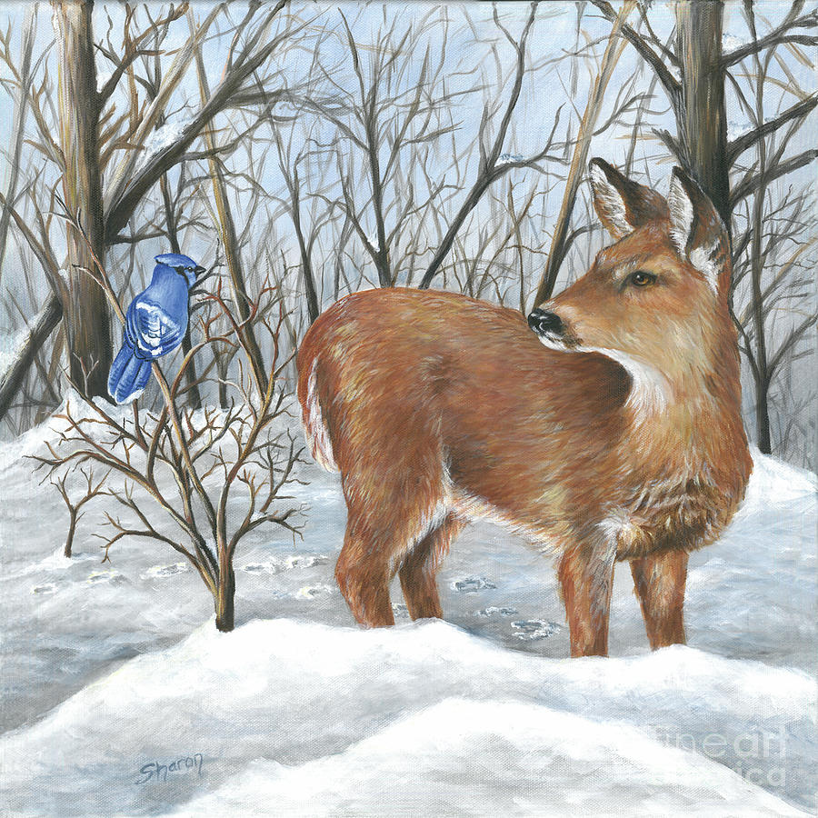 Deer Painting - What are you looking at by Sharon Molinaro