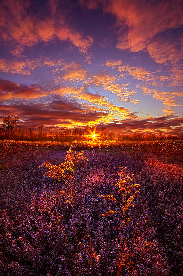 What Forever Means Photograph by Phil Koch