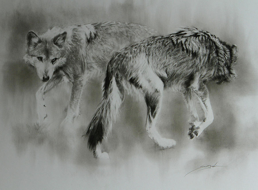 Wolves Drawing - What Goes Around Comes Around - wolves by Susie Gordon