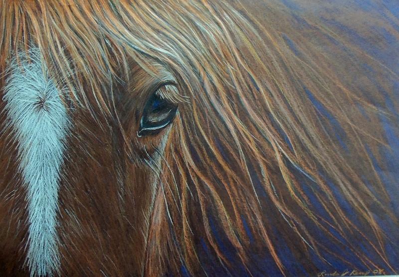 Horse Drawing - What He Can See by Linda Nielsen