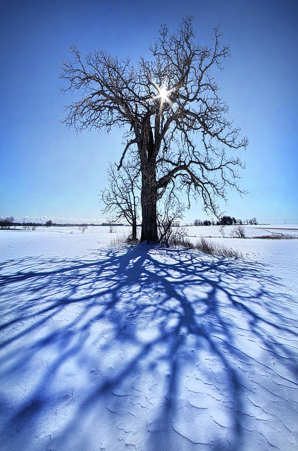 What I Am, What I Was, What I Will Be Photograph by Phil Koch