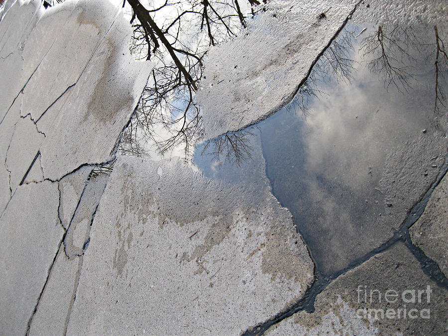 Cracked Pavement  Photograph by Sandra Church