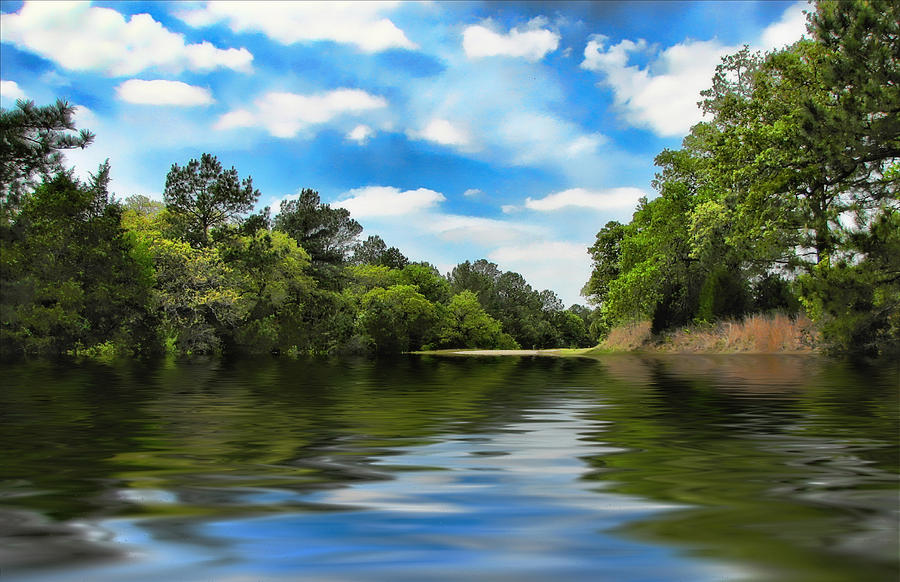 Tree Photograph - What I Remember About That Day on the River by Wendy J St Christopher