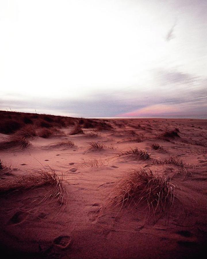 What Is It About Cape Dunes 💞 Photograph by Meaghan Garrahan
