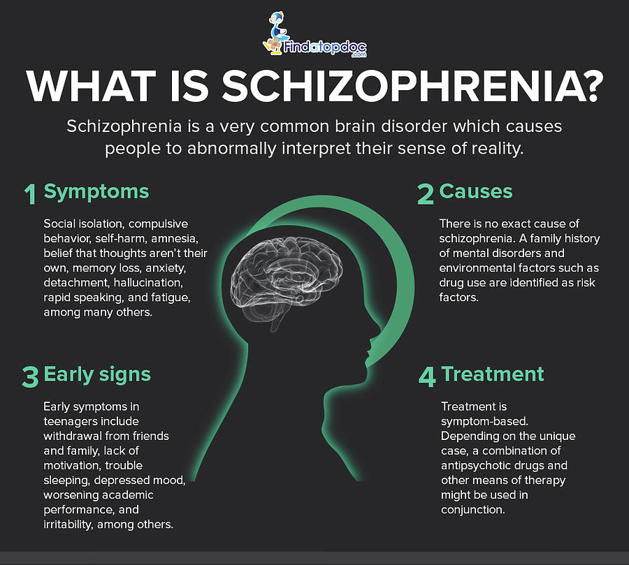 paranoid schizophrenia definition