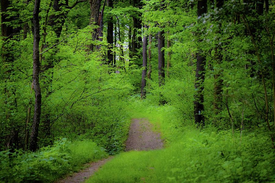 What Lies Beyond Photograph by Shelley Smith - Fine Art America