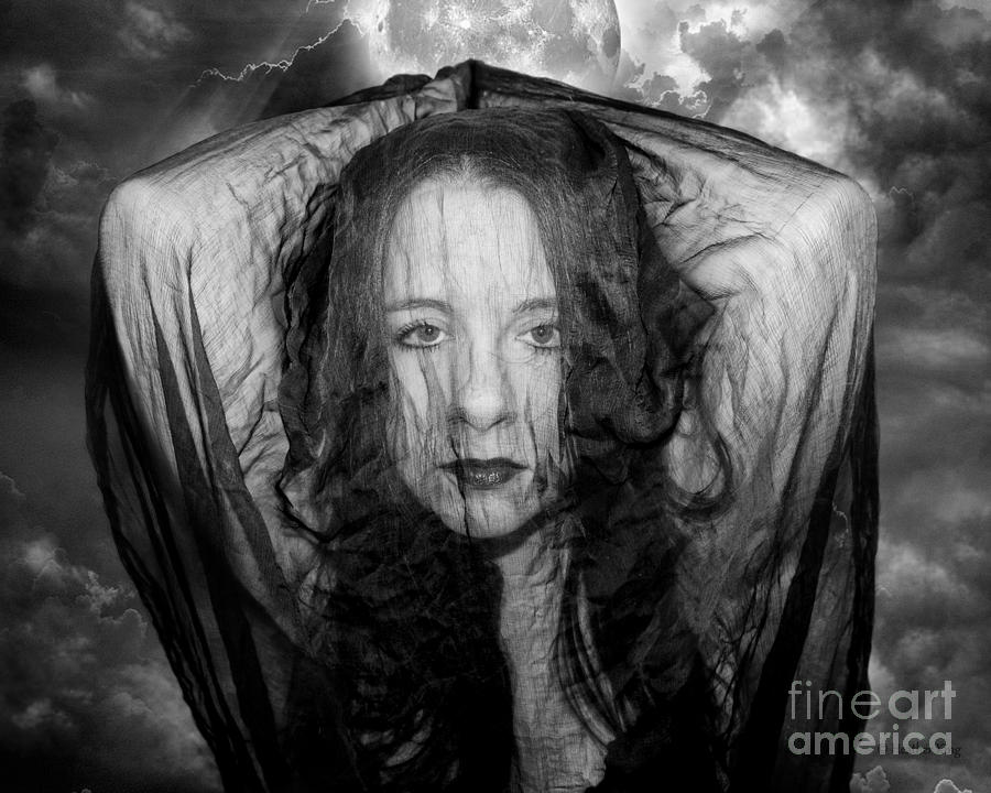 What lies beyond the veil Photograph by Heather King