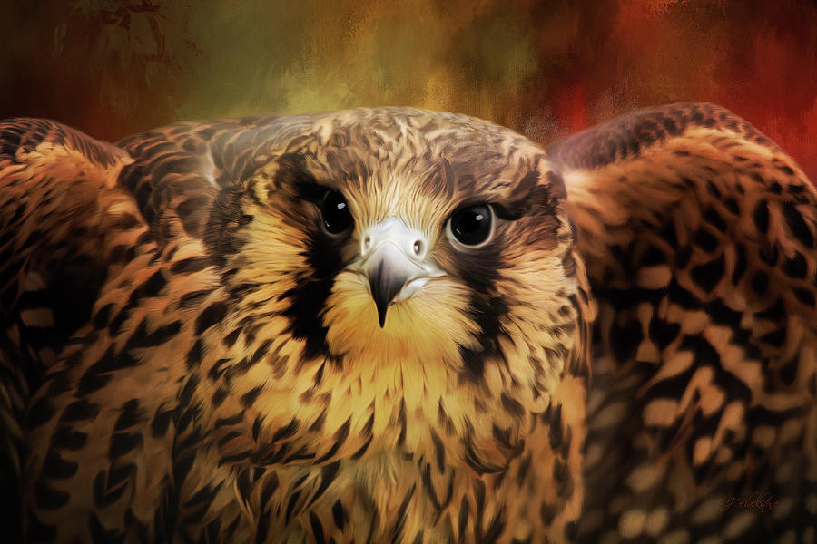 What Matters - Falcon Art Painting by Jordan Blackstone