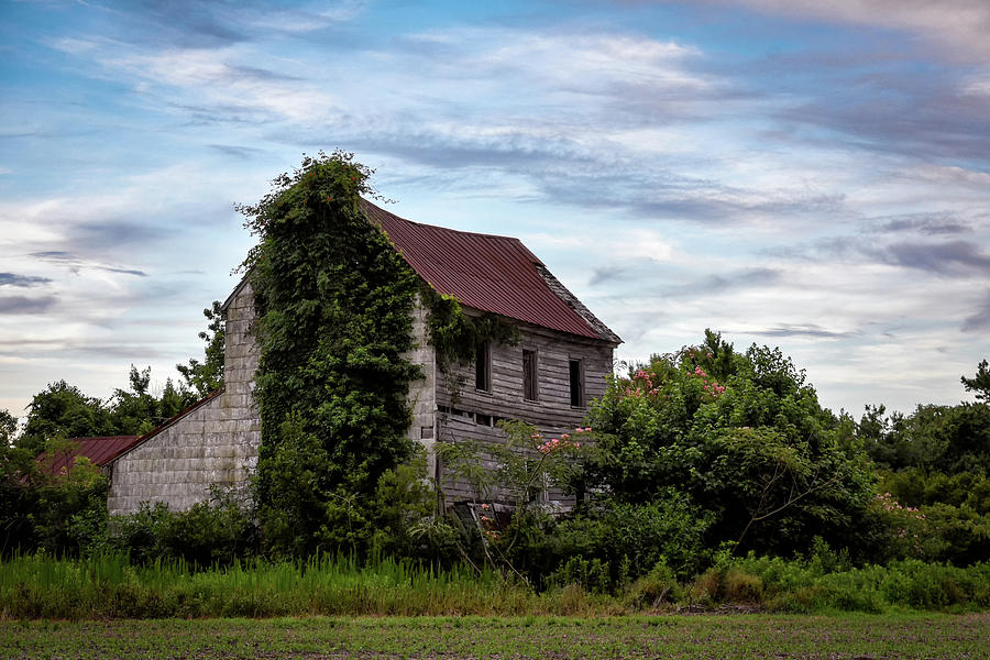 Virginia Beach Photograph - What Once was Home by Jeremy Clinard